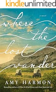 Where the Lost Wander: A Novel