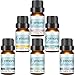 Skymore Essential Oils Top 6 Gift Set