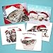 Christmas Cats Holiday Card Assortment Pack / 25 Seasonal Kitten Greeting Cards And Envelopes / 5 Sleeping Santa Animal Designs And Christmas Messages