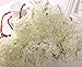 12 pcs Lovely Mini Hydrangea Artificial Fake Plastic Mini Fresh Silk Flower Arrangement Home Decorative Flowers(White)