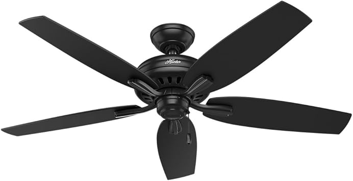Hunter Indoor Outdoor Ceiling Fan With Pull Chain Control