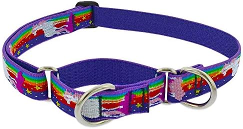 LupinePet Originals 1" Magic Unicorn 15-22" Martingale Collar for Medium and Larger Dogs