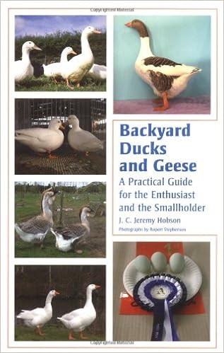 Backyard Ducks And Geese A Practical Guide For The Enthusiast And