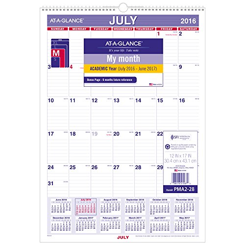 At A Glance Academic Year Monthly Wall Calendar July 16 June 17 12 X17 Wirebound Pma228 Buy Online In India At Desertcart In Productid