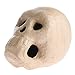 Factory Direct Craft Life Size Paper Mache Skull for Halloween, Gothic and Day of the Dead Display
