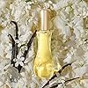 Giorgio Beverly Hills Eau de Toilette (50ml) Floral, Oriental & Fresh Scent, Luxury Fragrance, Perfume for Women