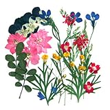 Pressed Flower, 2 Packs of Mixed Flowers. Art & Craft Materials