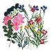 Pressed Flower, 2 Packs of Mixed Flowers. Art & Craft Materials