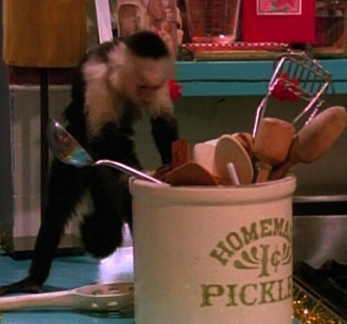 FRIENDS TV Show. Monica’s kitchen. ♥ Utensils holder. 100% Handmade