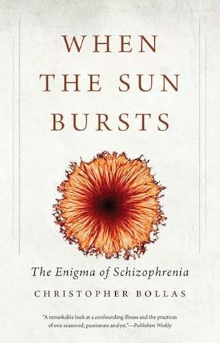 Download When the Sun Bursts: The Enigma of Schizophrenia PDF