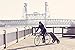 Burley Travoy Bike Trailer