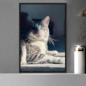 signwin Framed Canvas Wall Art Cat Animals Cat...