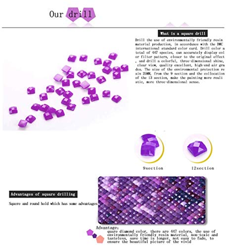 5 Sqailer+Painting+Rhinestone+Embroidery+Decoration