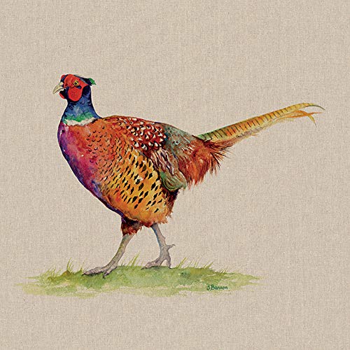 Jane Bannon (Granville 60 x 60cm Canvas