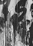 Cy Twombly : Ten Paintings and a Sculpture, Vousden, Robin, 1932598057