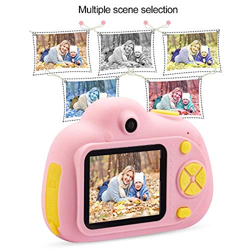 image for Duddy Cam Mini Dual Digital Camera Gift for 3-10 Years Old Kids on Bir