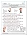 Jomi Compression Pantyhose Women Collection, 20-30mmHg Sheer Closed Toe 276 (Medium, Natural)