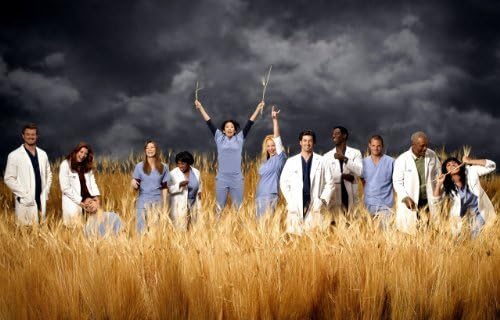 Grey's Anatomy HD 11x17 Photo Poster ABC TV Show #08 by HDQ