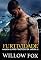 Livro Furtividade: Mason (Táctica da Águia Livro 2)