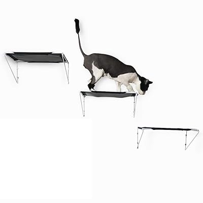 Buy Raycc Cat Shelves Cat Steps Cat Perch Cat Cloud Cat Bed Wall Mounted Cat Furniture Great For Cat Climbing Set Of 3 Online In Indonesia B07t8lnqn4