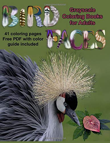 Download Amazon Com Bird Faces Grayscale Coloring Book For Adults 41 Grayscale Coloring Pages With Bird Faces Up Close So You Get All The Detail In These Beautiful Birds 9781978106055 Mowery Susan Books