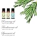 Essential Oils, Mooka Top 12 100% Pure Therapeutic Grade Aromatherapy Essential Oil Set Starter Kit for Diffusers (Lavender, Tea Tree, Eucalyptus, Lemongrass, Sweet Orange, Peppermint..)