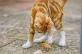 Petface Feather Tail Mice Plush Cat Toy Pack of 2 with Catnip view 8