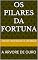 Livro OS PILARES DA FORTUNA: A ÁRVORE DE OURO (histórias do mundo)