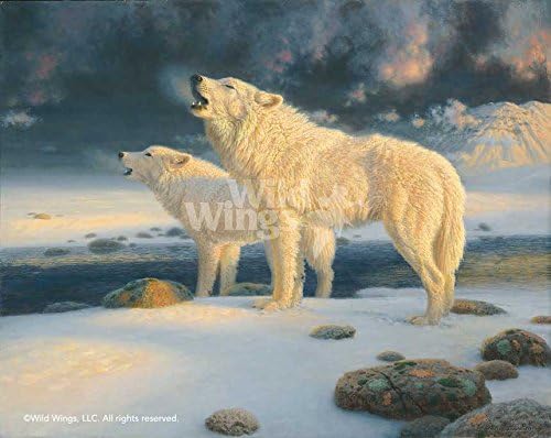 Richard Burns - Arctic Echoes - Arctic Wolves