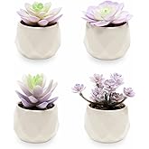 VIVERIE Artificial Purple Succulents Plant in White Ceramic Pots, Set of 4 - Mini Succulent Fake Room Decoration Aesthetics, Office Supplies/Room Decor/Office Halloween&Christmas Gifts
