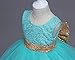JiaDuo Baby Girl Lace Mesh Tutu Dress Sequin Bow Toddler Princess Gown ,Soft Mint,12-18 Months (80)