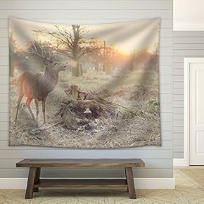 Buck with Big Antlers in The Wild - Fabric Wall Tapestry Home Decor - 51x60 inches