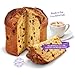 Bauli Panettone, 17.60-Ounce