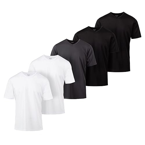 5 Pack: Men's Active Dry Fit Moisture Wicking Athletic Performance Workout Stretch V-Neck Short Sleeve T-Shirt Top (Small, Assorted)