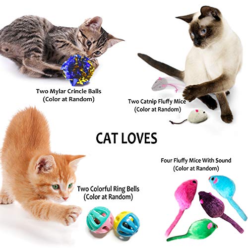Cat Toys Set, Cat Retractable Teaser Wand, Catnip Fish, Interactive Cat
