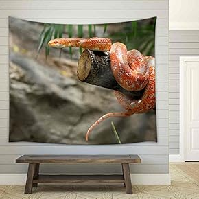 Corn Snake on a Branch - Fabric Wall Tapestry Home Decor - 51x60 inches