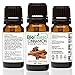 BioFinest Cinnamon (Cassia) Oil - 100% Pure Cinnamon Essential Oil - Premium Organic - Therapeutic Grade - Best For Aromatherapy - Aid Blood Circulation & Muscle Ache - FREE Essential Oil Guide (10ml)