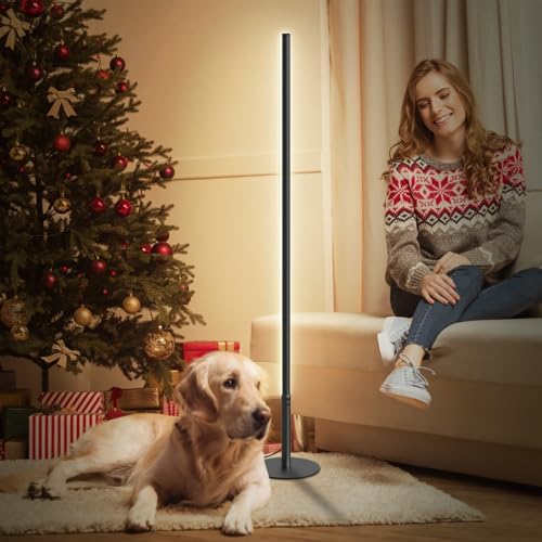 LED Stehlampe Wohnzimmer, Dimmbare Ecklampe mit Fernbedienung, Schwarz