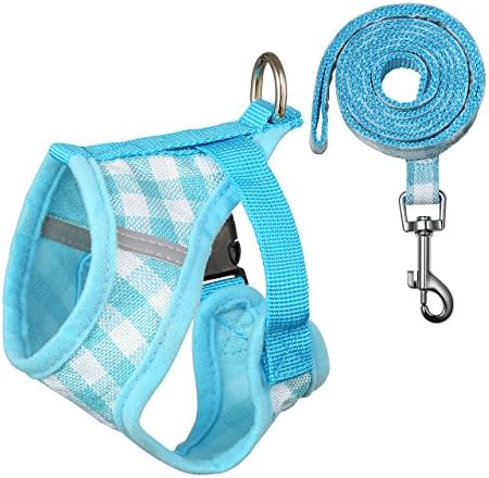 Petetpet Puppy Harness and Leash Breathable Adjustable Harness Set for Cat Small Dogs Pets Walking Training Running Hiking (S, Blue)