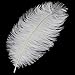 Coceca 10PCS White Ostrich Feathers 16-18inch 40-45cm for Wedding, Party, DIY