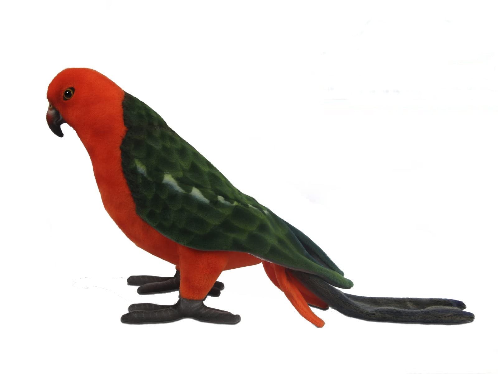 Hansa 8161 King Parrot 44cm.L