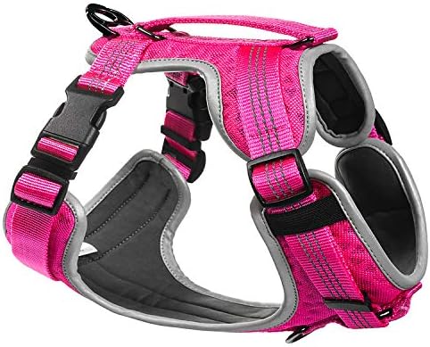 embark dog harness