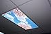 Springtime Bliss Skypanels - Replacement Fluorescent Light Diffuser
