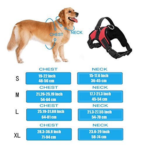 kiwitata Dog Harness- Leash Included,Dog Vest Halter Soft Padded Harness Leashes Set,Adjustable and Durable Harness for Pet All Size Dog Daily Training Walking Running