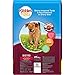 Kibbles 'N Bits Bistro Oven Roasted Beef & Vegetables Dry Dog Food Bonus Bag, 50 Lb