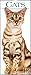 2019 Cats Calendar