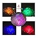 FLASHDOG Party Show Waterproof Floating Lamps - Water Light Bathtub Swim Pool Toys for Toddler Kids