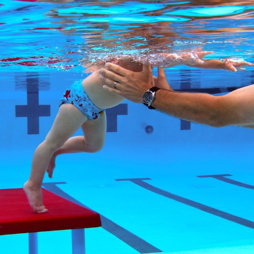 Swim Diaper  - Solid Royal L