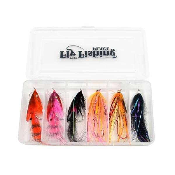Steelhead-Fly-Fishing-Flies-Assortment-6-Aqua-Flies-3-Motion-Prawns-1-Electric-Leech-2-Mini-Intruders-1-Each-of-6-Essential-Steelhead-Color-Flies-Fishing-Fly-Collection-with-Fly-Box