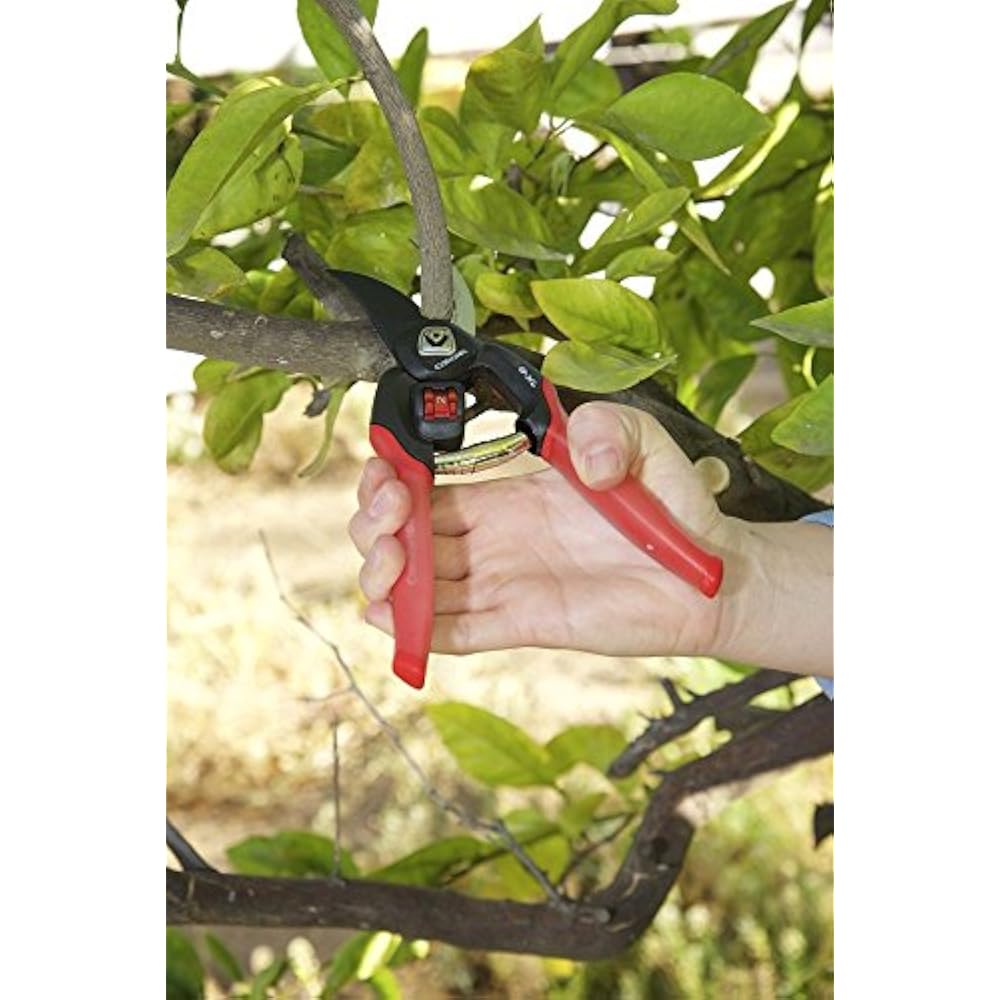 Corona BP 4214D Flex Dial Bypass Pruner With Comfort Gel Grips, 3/4